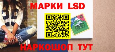 гидропоника Будённовск