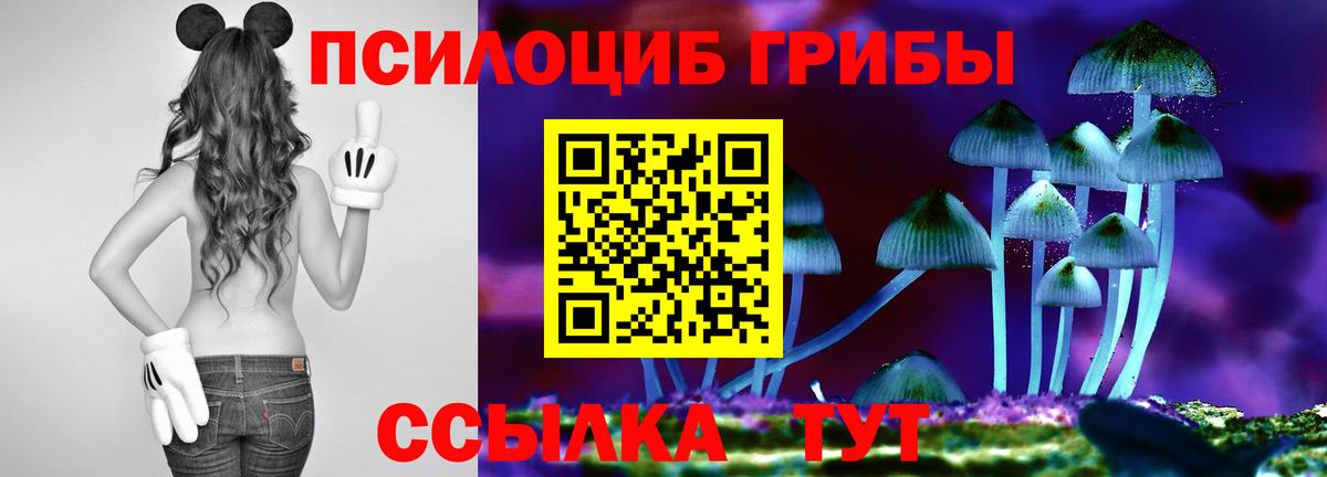 Галлюциногенные грибы ЛСД  Вход с VPN  Новоуральск 